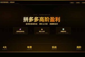 （17779期）拼多多高阶盈利年费会员：全类目活动玩法、原价上大促、洗图防比价等核心盈利技术(更新26年3月)