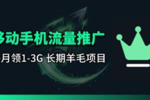 手机流量领取推广_每月一轮，刚需类的长期项目