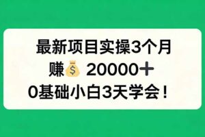 （17856期）最新项目实操3个月，赚钱20000+，0基础小白3天学会！