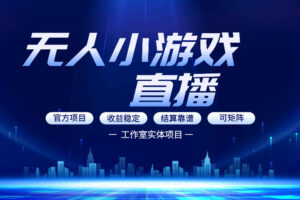 无人小游戏直播：0基础也能做的轻资产副业，解锁无人直播盈利新玩法，轻松月入1W+【揭秘】