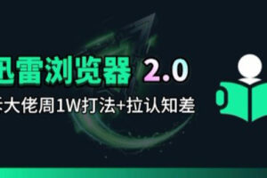 迅雷浏览器项目2.0_拆个大佬周1W的打法