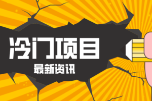 普通人容易忽略的冷门项目,仅靠一部手机,1小时复制粘贴零撸50+