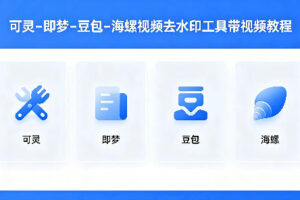 可灵–即梦–豆包–海螺视频去水印工具带视频教程