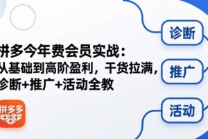 （18246期）拼多多年费会员实战(更新26年4月28)：从基础到高阶盈利，干货拉满，诊断+推广+活动全教