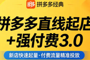 拼多多直线起店+强付费3.0，教你稳定起店、高效控投产、破解流量瓶颈（更新4月）