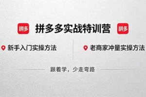 （18309期）拼多多实战特训营(更新5月3)：不管是新手入门或老商家冲量，都有实操方法，跟着学，少走弯路