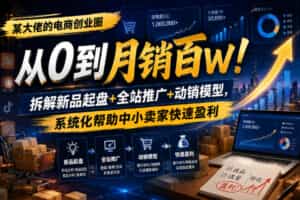 某大佬的电商创业圈从0到月销百W！拆解新品起盘+全站推广+动销模型，系统化帮助中小卖家快速盈利
