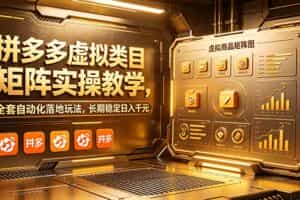 （18847期）拼多多虚拟类目矩阵实操教学，全套自动化落地玩法，长期稳定日入千元