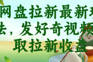 (18917期)网盘拉新最新玩法,发好奇视频获取拉新收益