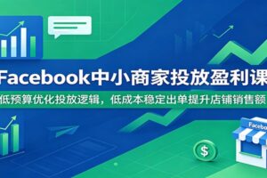 Facebook中小商家投放盈利课:低预算优化投放逻辑,低成本稳定出单提升店铺销售额