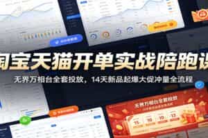 淘宝天猫开单实战陪跑课：无界万相台全套投放，14天新品起爆大促冲量全流程
