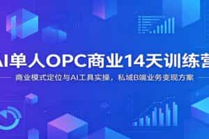 AI单人OPC商业14天训练营：商业模式定位与AI工具实操，私域B端业务变现方案