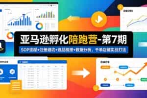 （19050期）亚马逊孵化陪跑营-第7期：SOP流程+注册避坑+选品梳理+数据分析，千单店铺实战打法（更新0625）