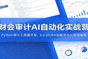 财会审计AI自动化实战营：Python审计工具箱开发，ExcelVBA加载项与AI协同编程