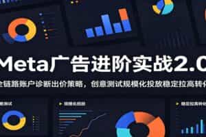 Meta广告进阶实战2.0：全链路账户诊断出价策略，创意测试规模化投放稳定拉高转化