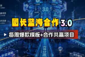 团长蓝海合作3.0，每周爆款模板+合作共赢项目