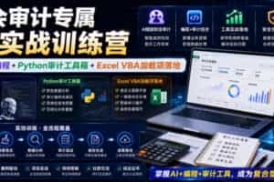 财会审计专属AI实战训练营｜AI协同编程+Python审计工具箱+Excel VBA加载项落地
