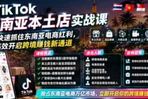 TikTok东南亚本土店实战课，帮你快速抓住东南亚电商红利，高效开启跨境賺钱新通道