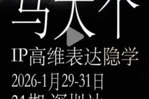 马大个《IP高维表达》全套12800线下大课笔记，手把手教你打造个人IP