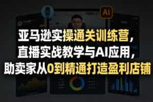 亚马逊实操通关训练营，直播实战教学与AI应用，助卖家从0到精通打造盈利店铺（更新6月18日）