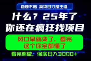 26年，请不要疯狂的找项目做了！卖项目才是真的稳賺不赔，看完照做，保底日入1k+【揭秘】