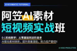 AI视频素材实战班，0-1系统教学，从零基础到进阶高手AI驱动素材焕新，提升跑量潜能，助力投产翻倍
