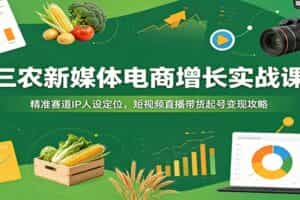 三农新媒体电商增长实战课：精准赛道IP人设定位，短视频直播带货起号变现攻略