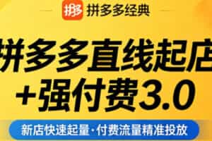 拼多多直线起店+强付费3.0，教你稳定起店、高效控投产、破解流量瓶颈（更新6月）