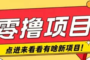 很简单的一个零撸项目，B站小红书发布二次元动漫风格视频，20个赞10元收益最高4000元