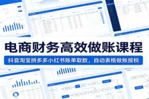 电商财务高效做账课程：抖音淘宝拼多多小红书账单取数，自动表格做账报税