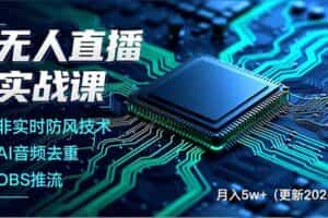 （19148期）无人直播实战课（更新6月），非实时防风技术、AI音频去重、OBS推流，建立技术壁垒，月入5w+