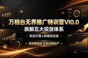 （19184期）万相台无界推广特训营VI0.0，拆解五大投放体系，新品打爆人群截流实操，控预算稳步拉高店铺投产