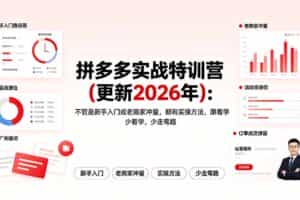 （19291期）拼多多实战特训营(更新2026年)：不管是新手入门或老商家冲量，都有实操方法，跟着学，少走弯路