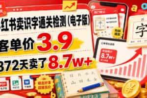 小红书卖识字通关检测（电子版），客单价3.9，372天卖了8.7w+