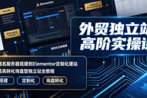 外贸独立站高阶实操课｜从域名服务器搭建到Elementor定制化建站，打造高转化询盘型独立站全教程