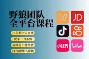 野狼团队2026新版全平台短视频带货教学，打开流量突破口，开始Ai带货（更新0709）