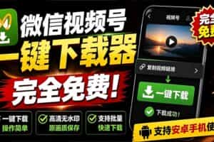 （19323期）手机端也可下载微信视频号了？完全免费使用，一键解析视频号原视频和封面 视频号下载助手v1.1