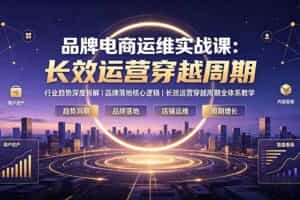 （19340期）品牌电商运维实战课：行业趋势深度拆解｜品牌落地核心逻辑｜长效运营穿越周期全体系教学