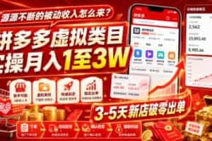 源源不断的被动收入怎么来？拼多多虚拟类目实操月入1至3W，3-5天新店破零出单