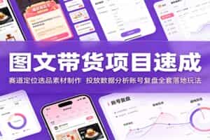 图文带货项目速成：赛道定位选品素材制作，投放数据分析账号复盘全套落地玩法