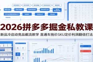 2026拼多多掘金私教课：新品冷启动竞品截流教学，直通车拖价SKU定价利润翻倍打法