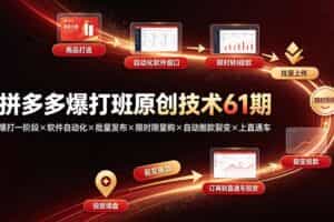 （19427期）拼多多爆打班原创技术61期：爆打一阶段×软件自动化×批量发布×限时限量购×自动搬款裂变×上直通车