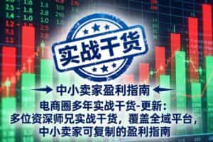 （19447期）电商圈多年实战干货-更新2026：多位资深师兄实战干货/覆盖全域平台，中小卖家可复制的盈利指南