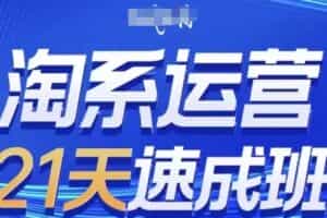 淘系运营21天速成班，0基础轻松搞定淘系运营，不做假把式，快速复制落地(更新26年7月)