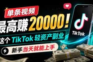 （19457期）单条视频最高赚 20000！这个 TikTok 轻资产副业，新手当天就能上手