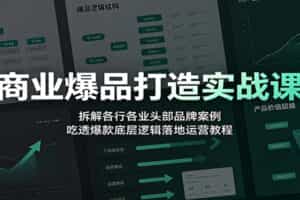 商业爆品打造实战课：拆解各行各业头部品牌案例，吃透爆款底层逻辑落地运营教程