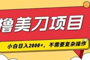 （19493期）撸美刀，单日收入2000+，小白可做