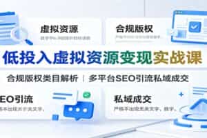 低投入虚拟资源变现实战课：合规版权类目解析，多平台SEO引流私域成交