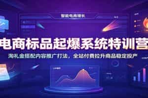 电商标品起爆系统特训营：淘礼金搭配内容推广打法，全站付费拉升商品稳定投产
