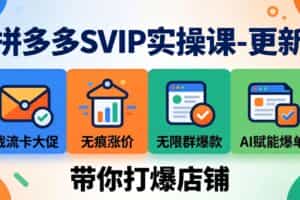 （19626期）拼多多SVIP实操课-26年7月，截流卡大促+无痕涨价+无限群爆款+AI赋能爆单新玩法，带你打爆店铺